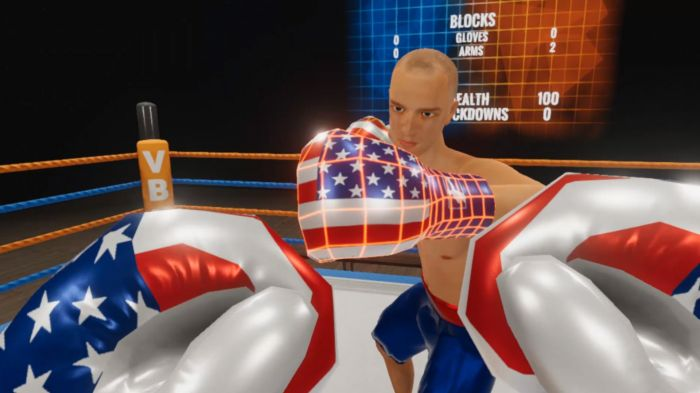 Virtual Boxing League